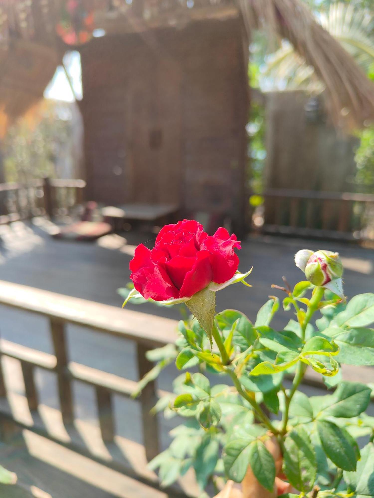 Smilingface Guesthouse Sukhothai Luaran gambar