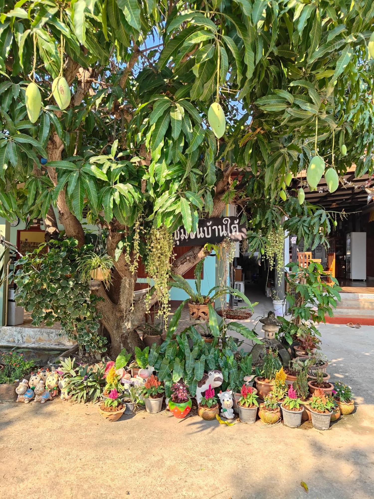 Smilingface Guesthouse Sukhothai Luaran gambar