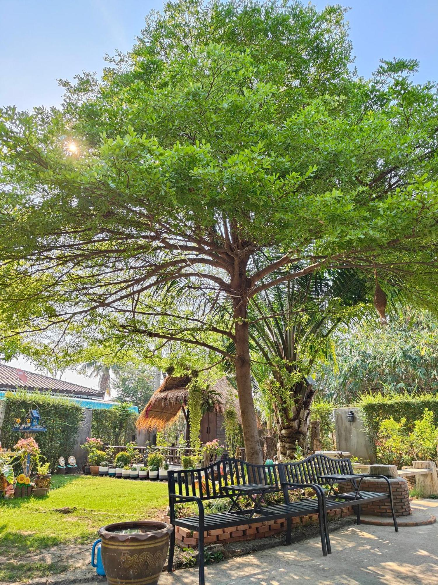 Smilingface Guesthouse Sukhothai Luaran gambar